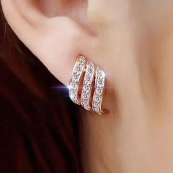 Elegant Rhinestone Earrings - Picture 3 of 9